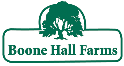 logotipo fazenda boone