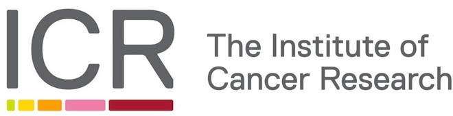 logomarca instituto cancer