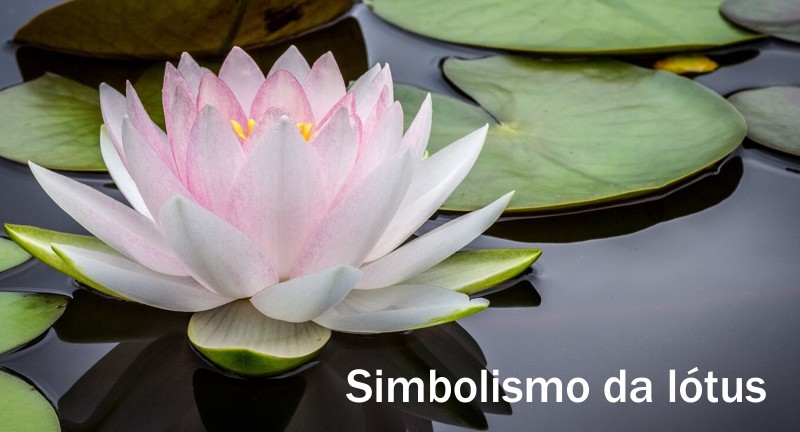 lotus%20simbolismo%20historico%20mistico