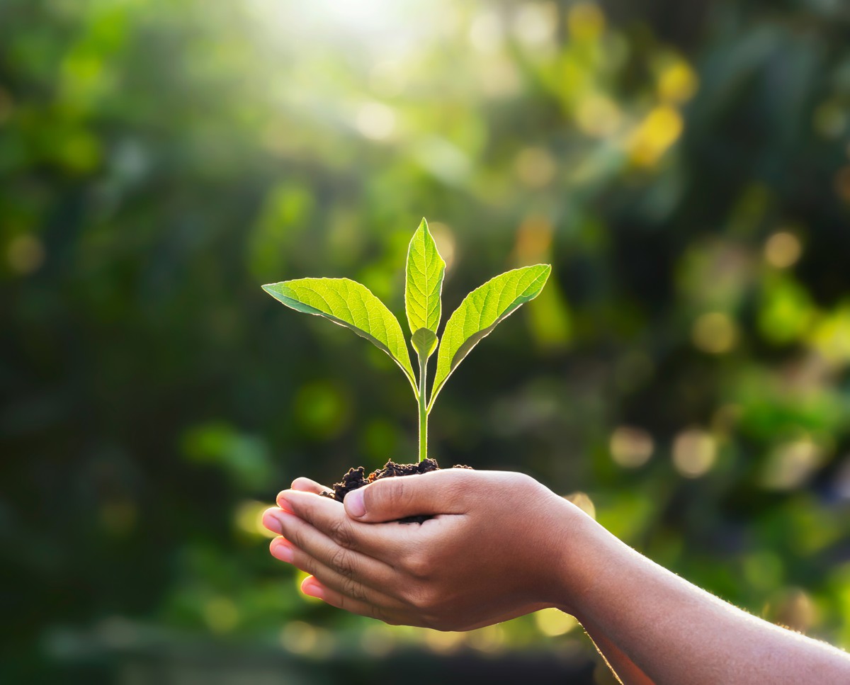 marca empresa ambiente ambiental nome fantasia processo de protecao inpi