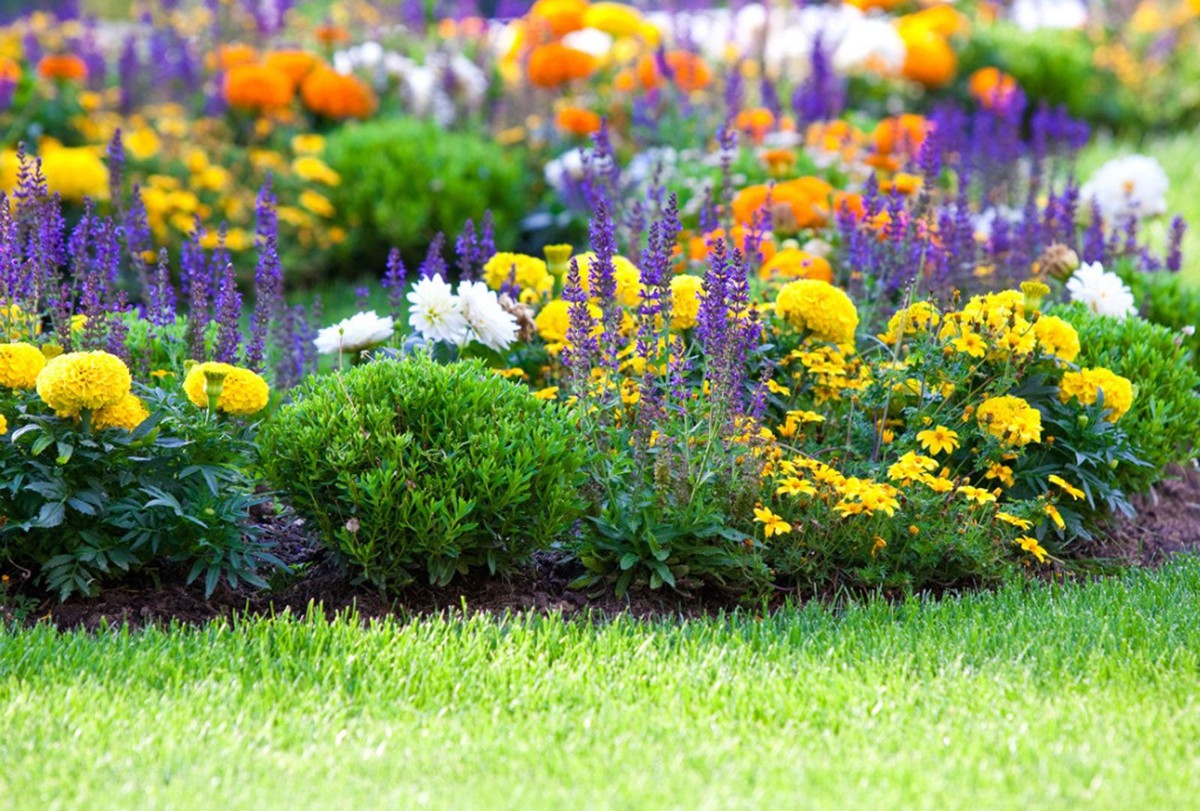marca empresa palavra jardim nome fantasia iniciaram processo de protecao inpi