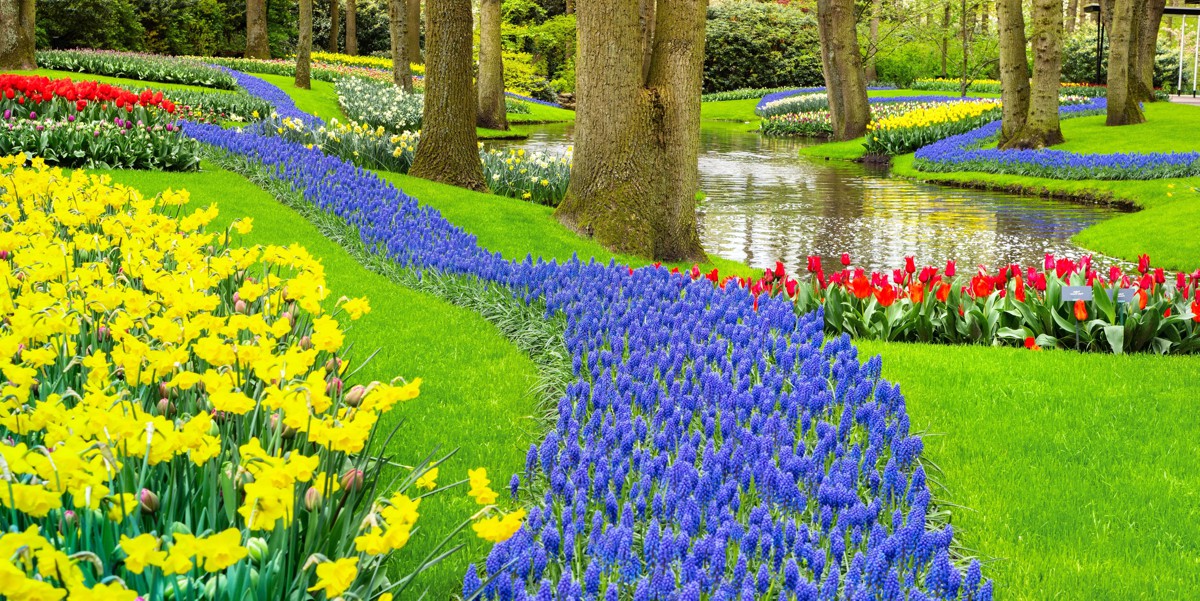 marca empresa palavra jardim nome fantasia processo de protecao.jpg