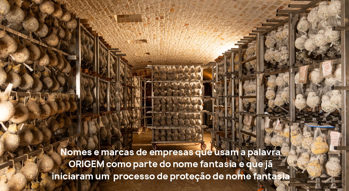 marca empresas usam palavra origem parte nome fantasia que iniciaram processo de protecao nome fantasia