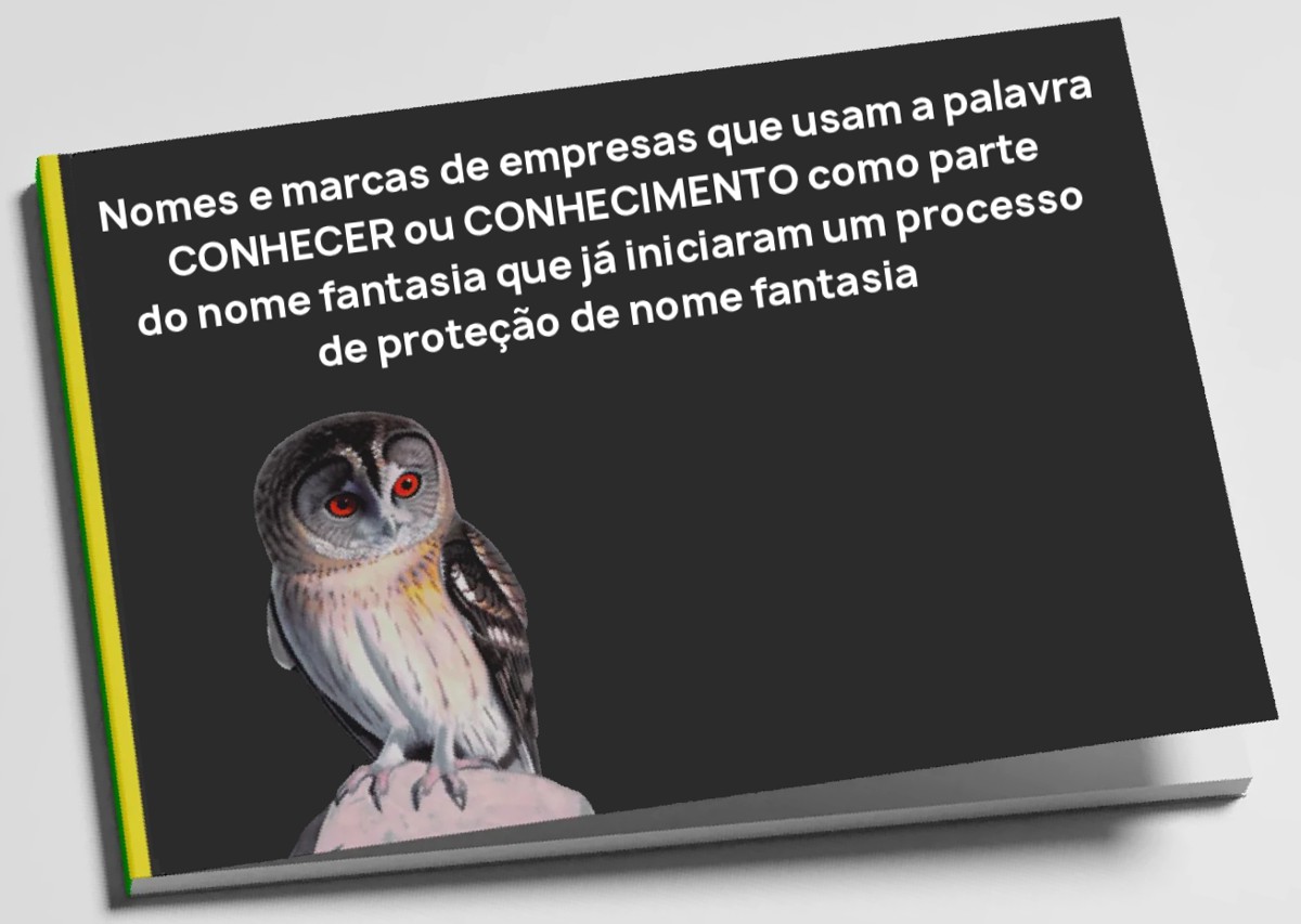 marcas de empresas que usam a palavra CONHECER ou CONHECIMENTO como parte do nome que iniciaram um processo de protecao de nome fantasia