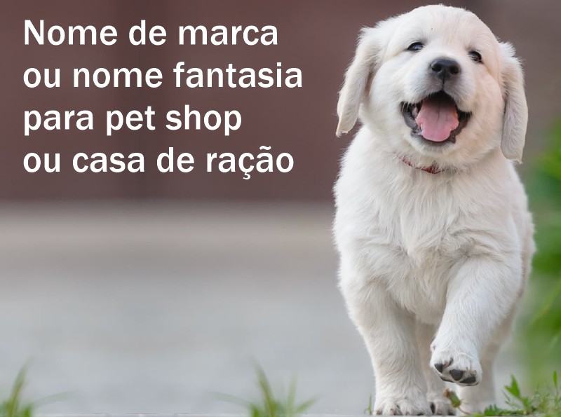 nome de marca ou nome fantasia para pet shop ou casa de ração