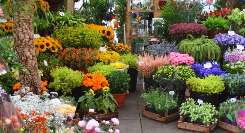 nome fantasia marca floricultura flores cesta presentes arranjo floral coroa cultivo jardim vaso