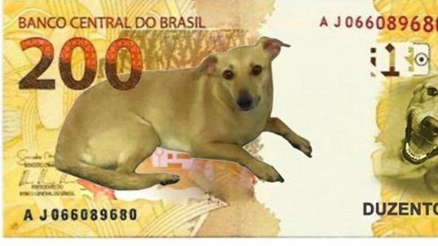 nota 200 reais com o viralata caramelo simbolo de resistencia