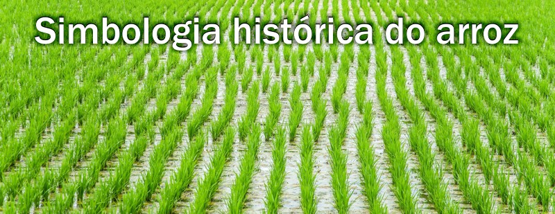 simbologia historica do arroz alimento