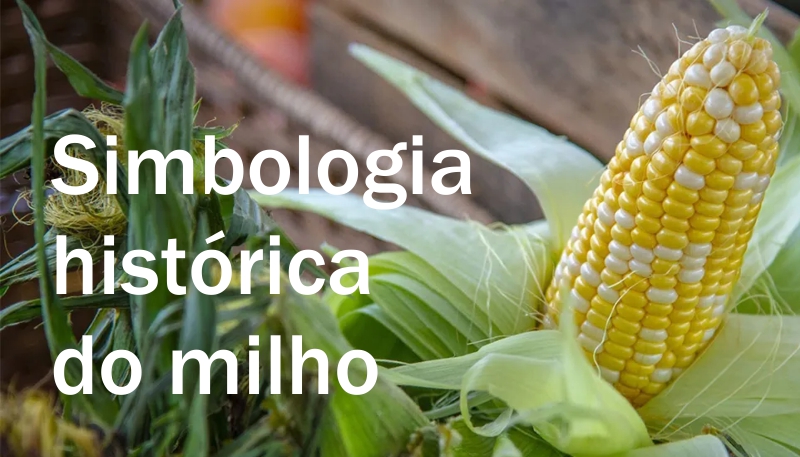 simbologia do milho