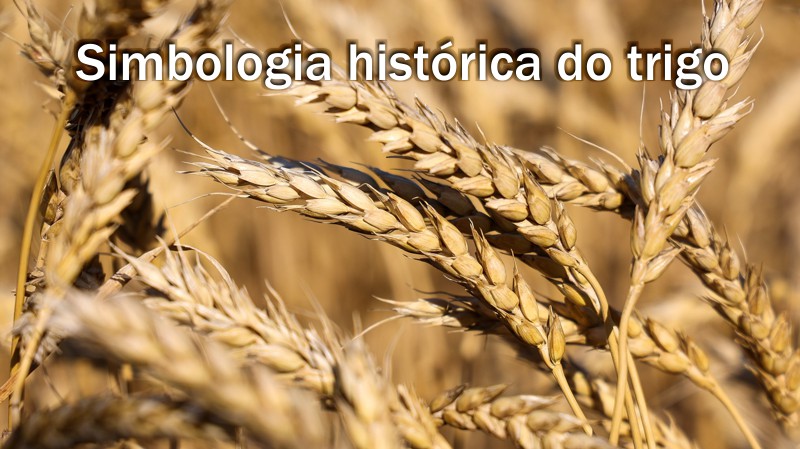 simbologia%20historica%20do%20trigo%20simbolo%20alimento.jpg#joomlaImage://local-images/logotipo/simbologia historica do trigo simbolo alimento