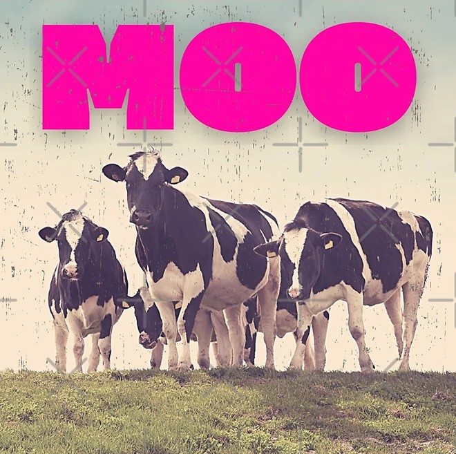 capa disco vaca moo musica