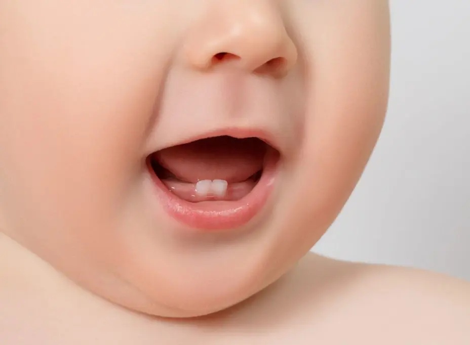 simbologia cultural e histórica do dente infantil