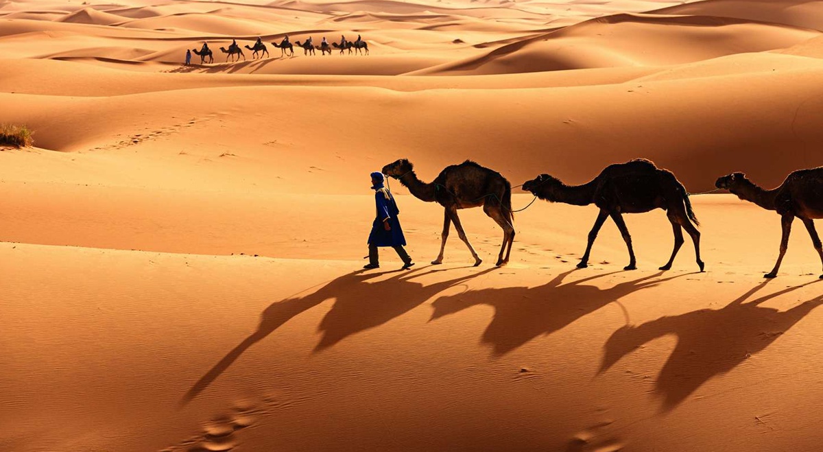 simbologia historica e cultural do deserto caravana camelos