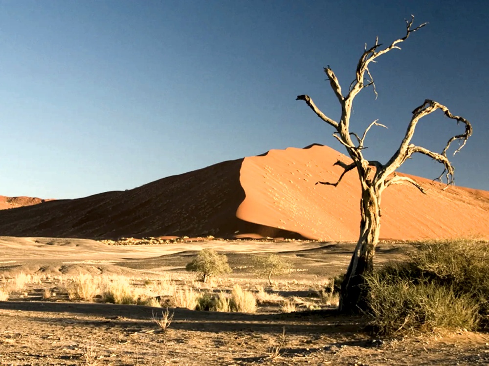 simbologia historica e cultural do deserto seco