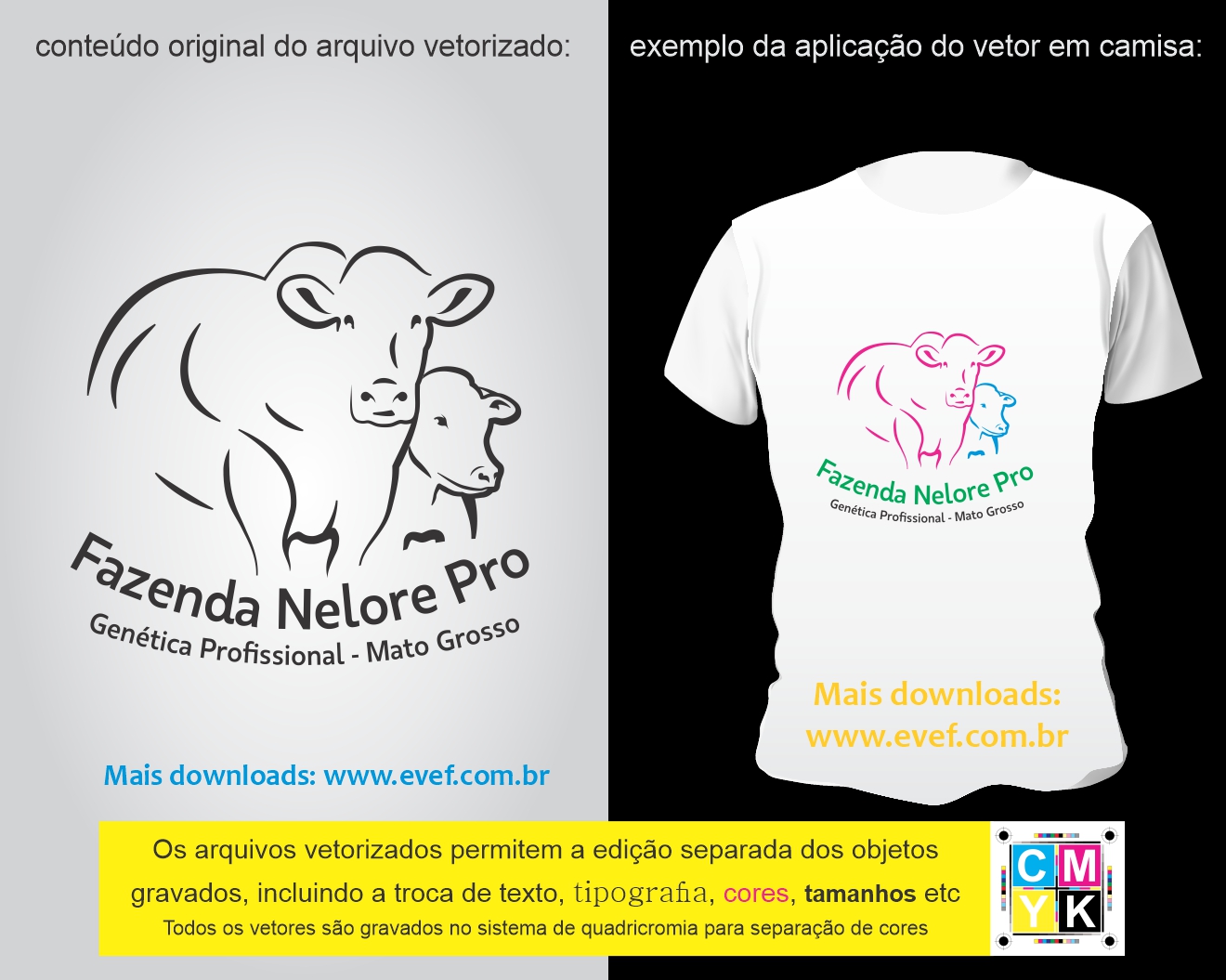 vetor estampa camisa fazenda nelore pro pecuária mt mato grosso