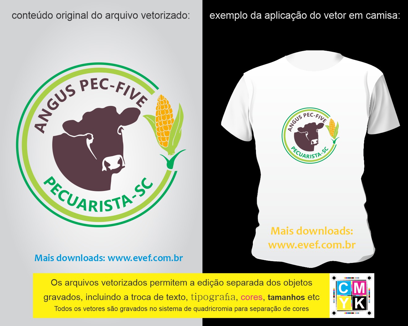 vetor estampa camisa fazenda pecuarista angus vermelho
